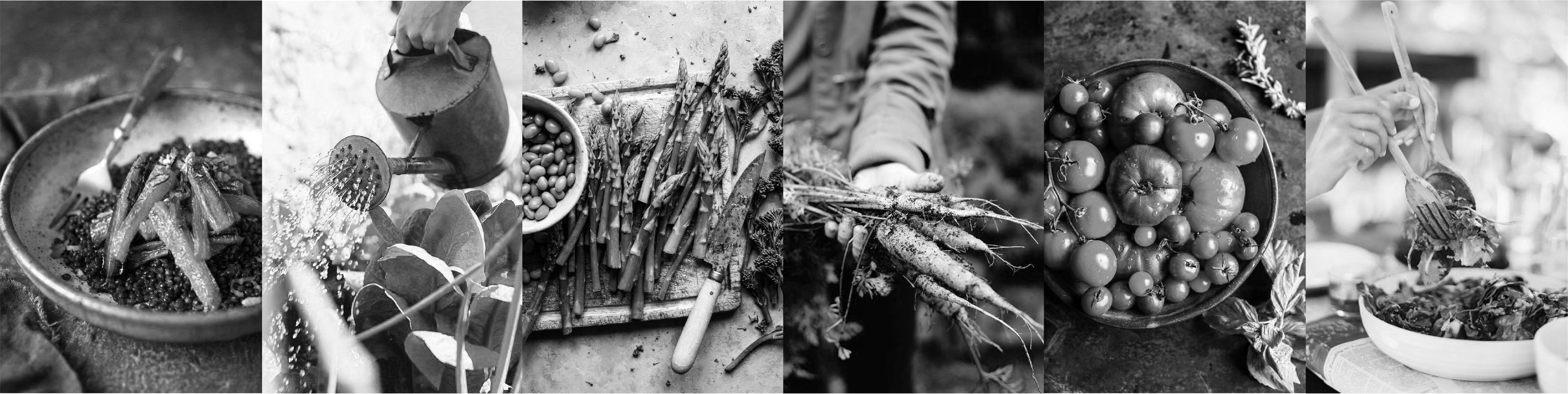 Black and white food and lifestyle image strip